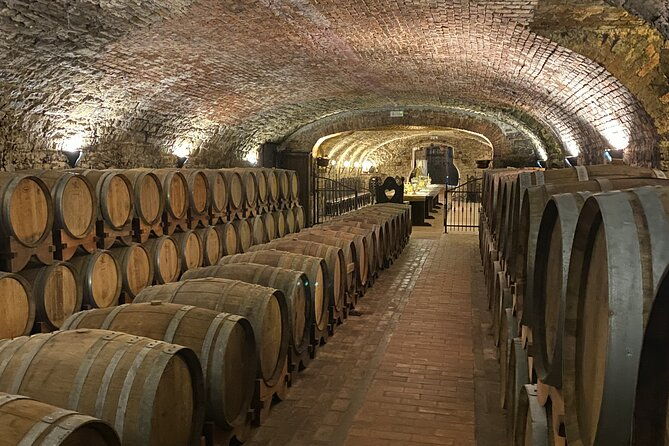 wine-tasting-in-the-collio-wine-area-guided-tour-of-cividale