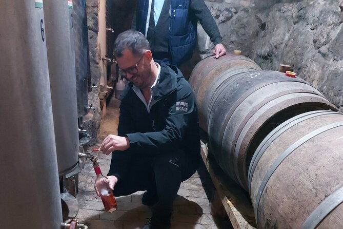 wine-tasting-in-the-countryside-from-budapest