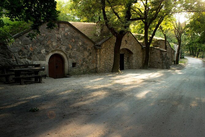 wine-tasting-in-the-countryside-from-budapest