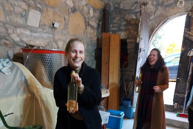 wine-tasting-in-the-countryside-from-budapest