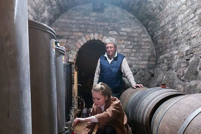 wine-tasting-in-the-countryside-from-budapest