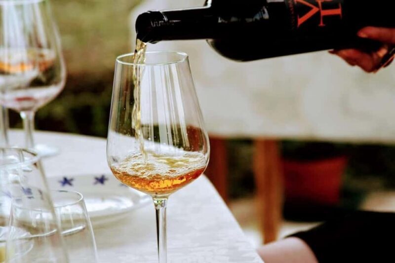 Wine tasting in the family cellar - What to Expect from Your Wine Tasting Experience