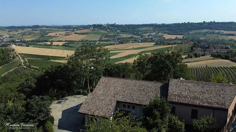 Wine Tasting in the Heart of Monferrato - Premium - Key Points