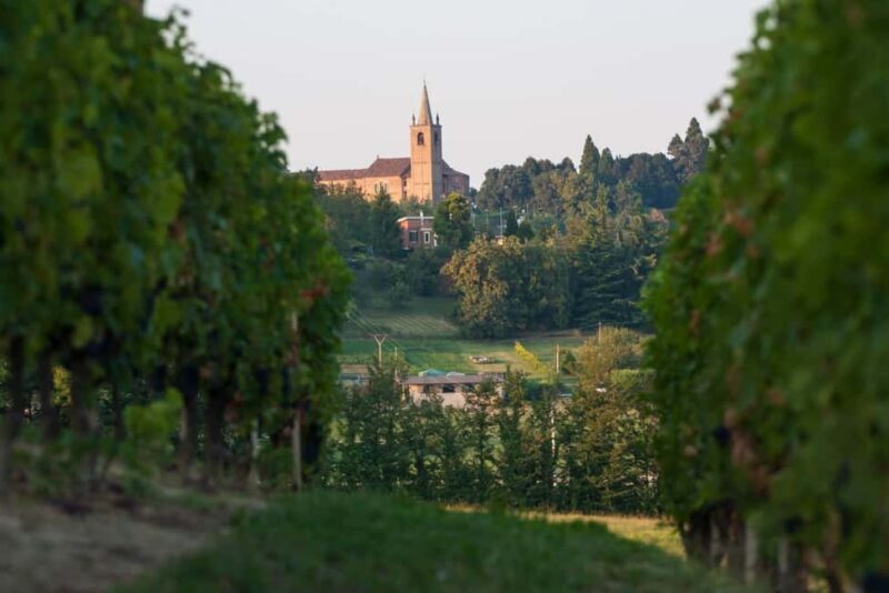 Wine Tasting in the Heart of Monferrato - Premium - Who Should Consider This Tour?