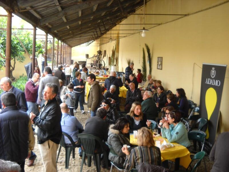 wine-tasting-in-the-historic-baglio-florio-adamo
