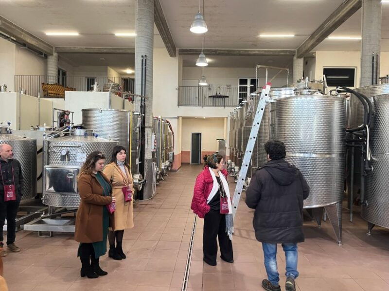 wine-tasting-in-the-south-slope-of-etna