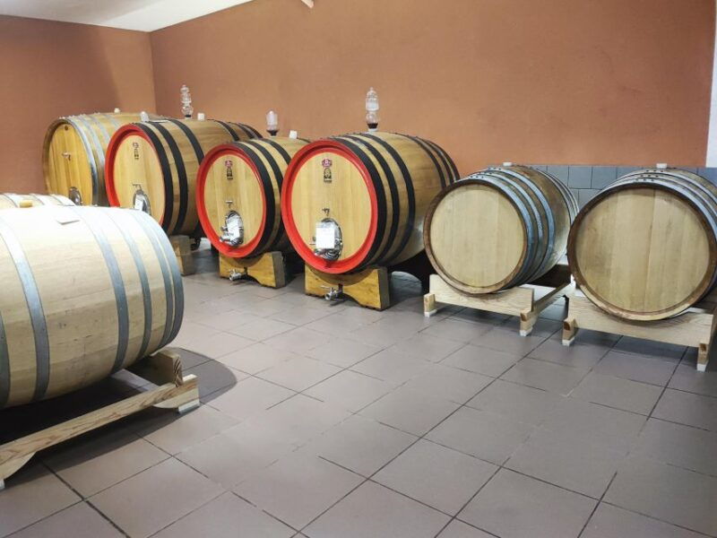 wine-tasting-in-the-south-slope-of-etna