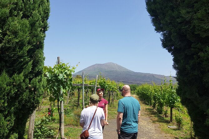 wine-tasting-in-the-vesuvius-national-park-2