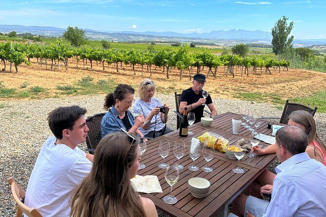 Wine Tasting in Three Boutique Wineries Tour - Max 8 people - Key Points