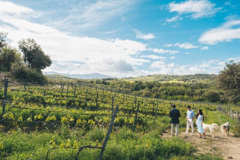 wine-tasting-in-toscana-with-priority-access