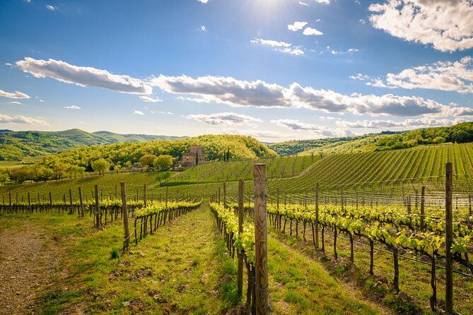 wine-tasting-in-two-family-wineries-around-florence