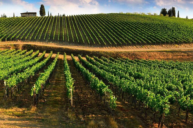 wine-tasting-in-two-family-wineries-around-florence