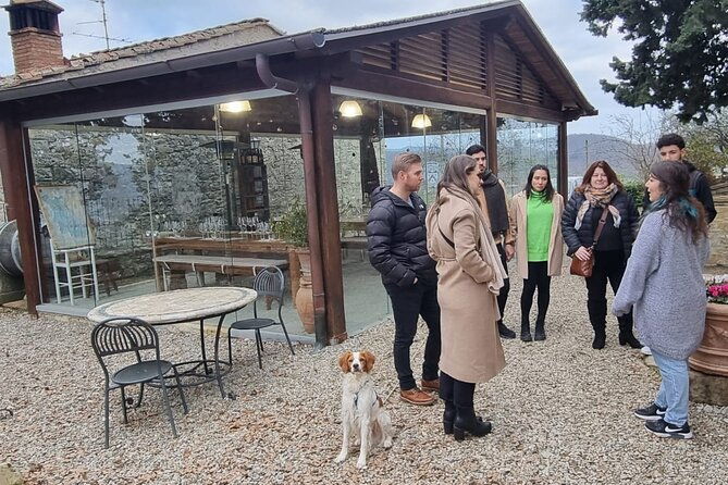 wine-tasting-in-two-family-wineries-around-florence