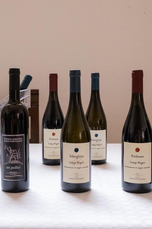 wine-tasting-in-winery-from-naples