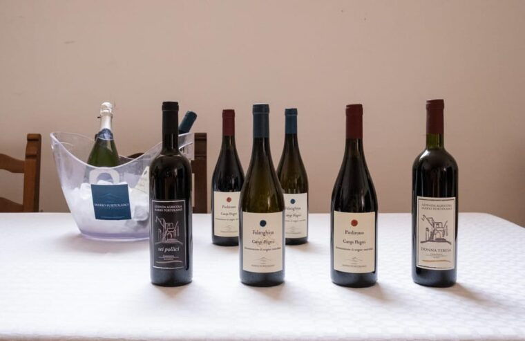 wine-tasting-in-winery-from-naples