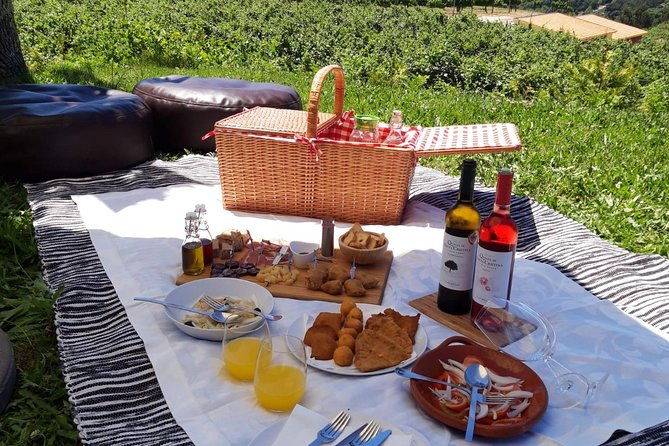 wine-tasting-lunch-from-porto-quinta-de-santa-cristina
