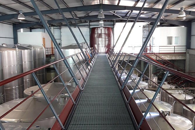 wine-tasting-lunch-from-porto-quinta-de-santa-cristina