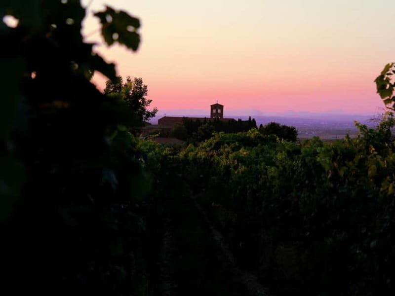 Wine Tasting & Medieval Town Visit at Castelli Romani - Detailed Breakdown of the Itinerary