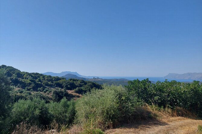wine-tasting-meet-the-cretan-vineyard-at-west-chania