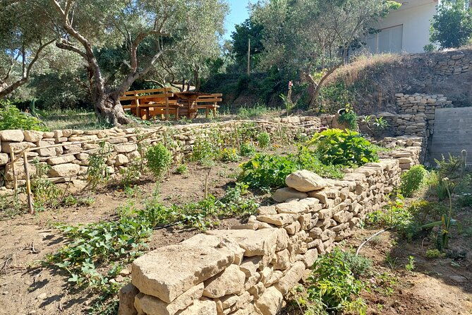 wine-tasting-meet-the-cretan-vineyard-at-west-chania