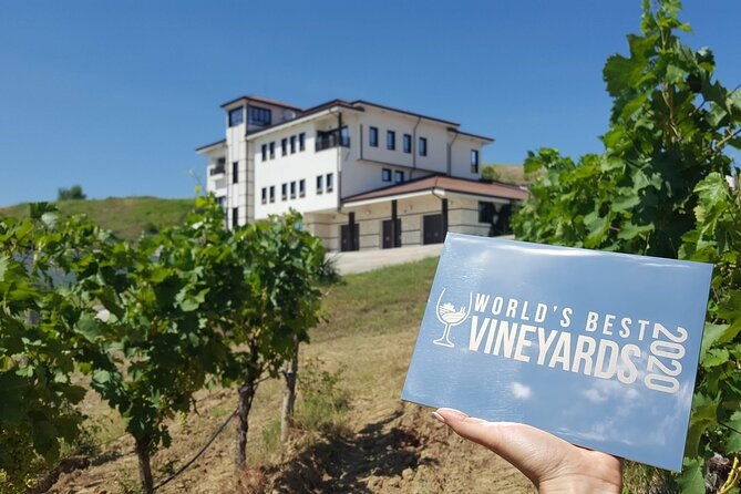 wine-tasting-more-in-villa-melnik-one-of-the-worlds-best-wineries