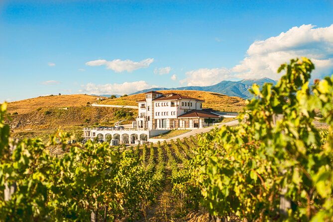 wine-tasting-more-in-villa-melnik-one-of-the-worlds-best-wineries