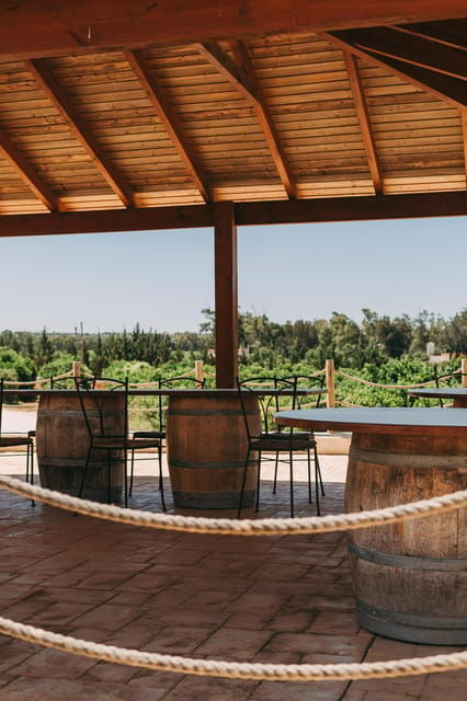wine-tasting-off-road-tour