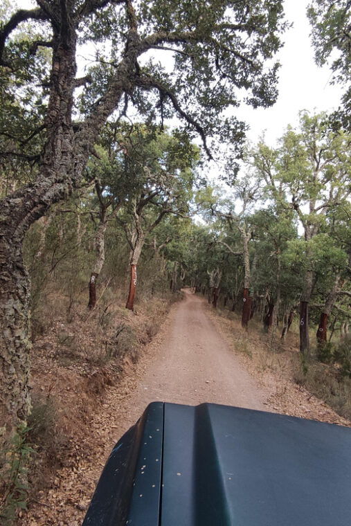 wine-tasting-off-road-tour