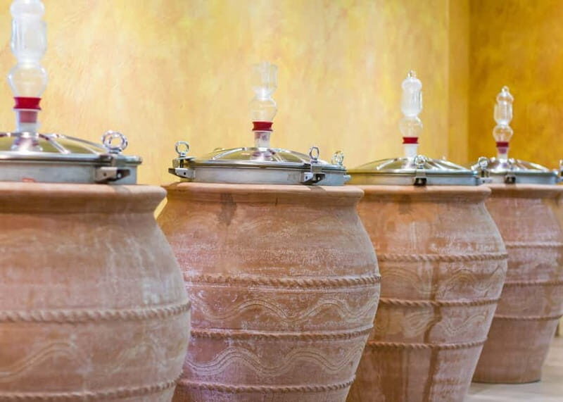 Wine Tasting on Mt. Vesuvius - Wine Tasting on Mt. Vesuvius: A Tasty Journey through Campanias Vineyards