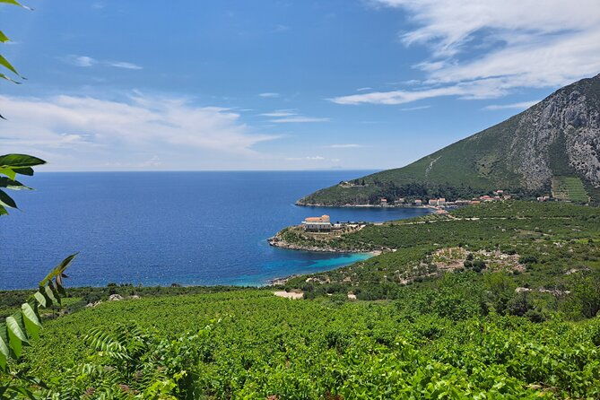 wine-tasting-private-day-tour-from-dubrovnik-to-peljesac