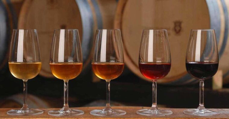 wine-tasting-private-half-day-tour