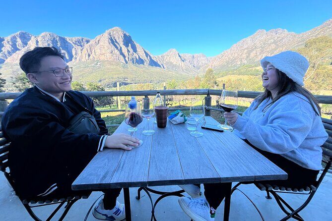 Wine Tasting Private Tour in Cape Winelands - Potential Drawbacks