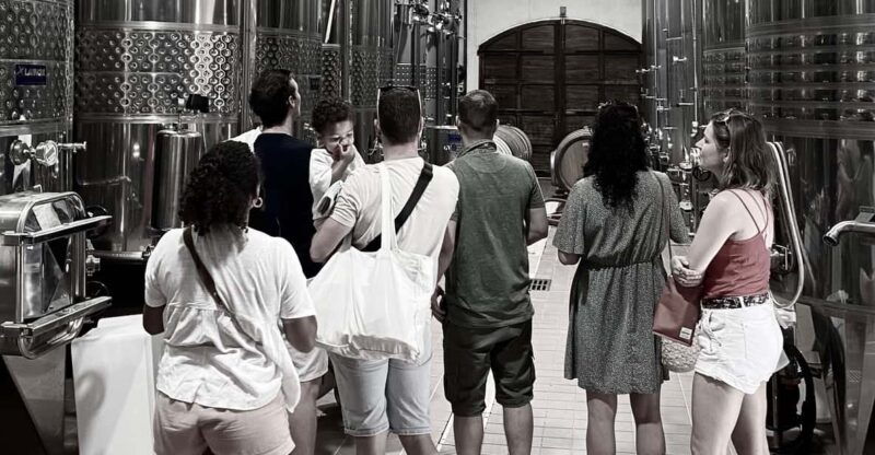 wine-tasting-saint-florent-patrimonio