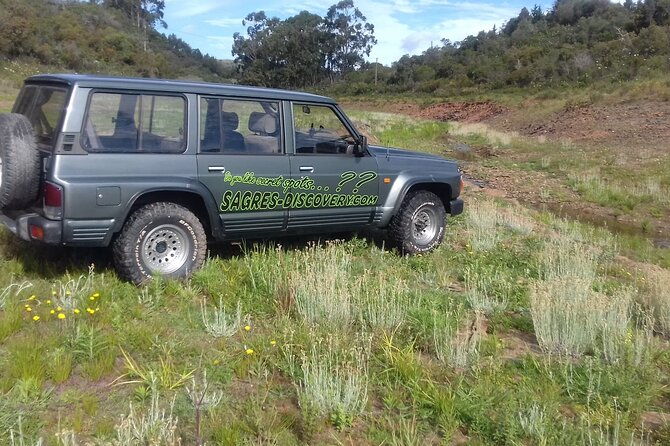 wine-tasting-tapas-4x4-tours