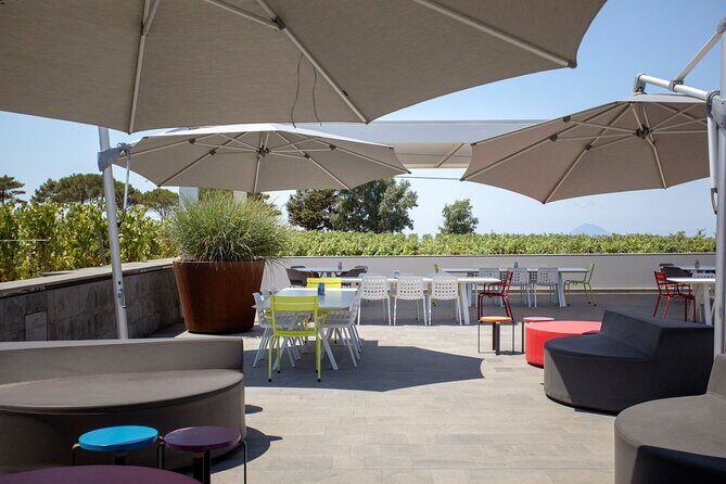 Wine tasting THE CLASSICS - Why This Tour Works