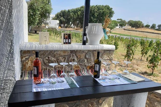 Wine Tasting Tour at a traditional farm in Mykonos - Final Thoughts