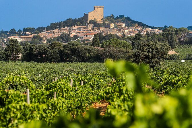 wine-tasting-tour-at-chateauneuf-du-pape-2