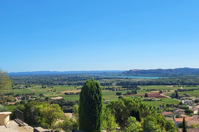 wine-tasting-tour-at-chateauneuf-du-pape-2