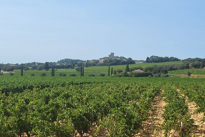 wine-tasting-tour-at-chateauneuf-du-pape-2