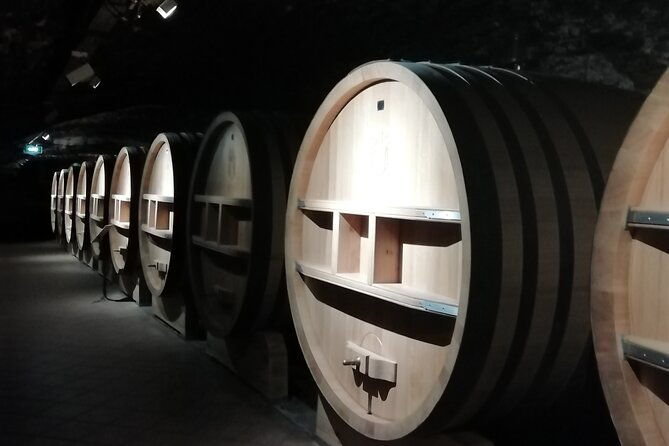 wine-tasting-tour-at-chateauneuf-du-pape-2