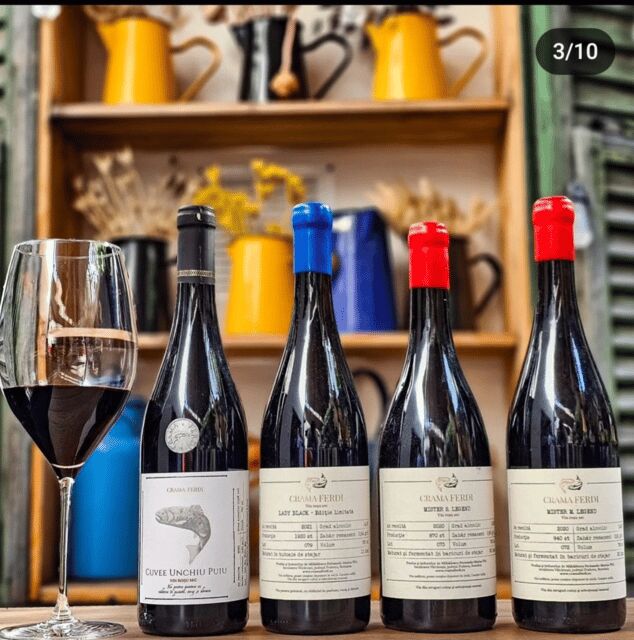 Wine tasting tour - Bucharest - The Experience: A Closer Look