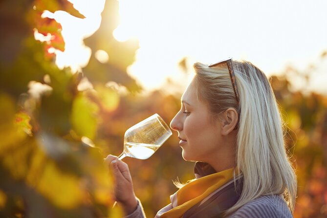 wine-tasting-tour-in-algarve-winery-2