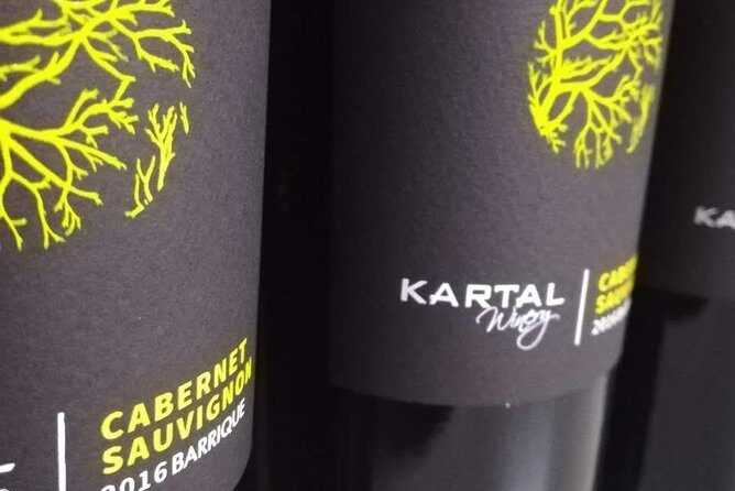 Wine Tasting Tour in Family winery Kartal in Skopje - The Sum Up