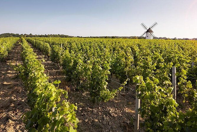 wine-tasting-tour-in-loire-valley-with-castle-visits-and-lunch