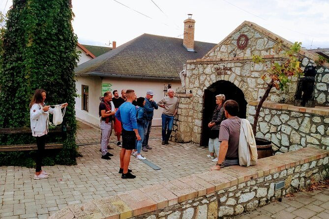 wine-tasting-tour-in-tokaj-wine-region-slovakia-with-transport