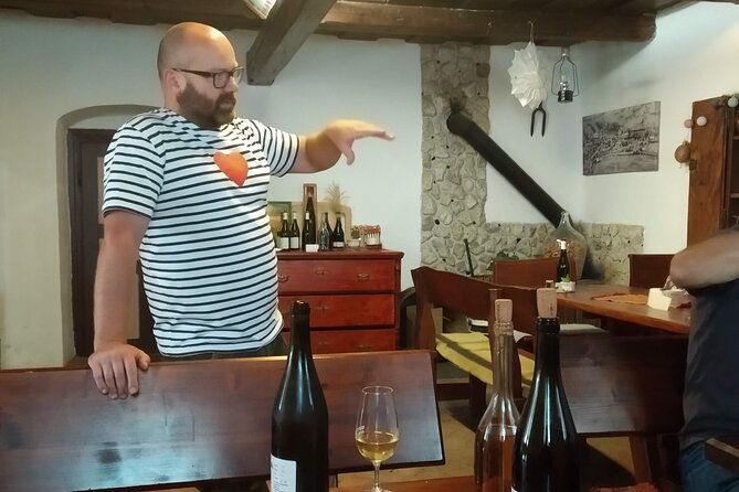 wine-tasting-tour-in-tokaj-wine-region-slovakia-with-transport