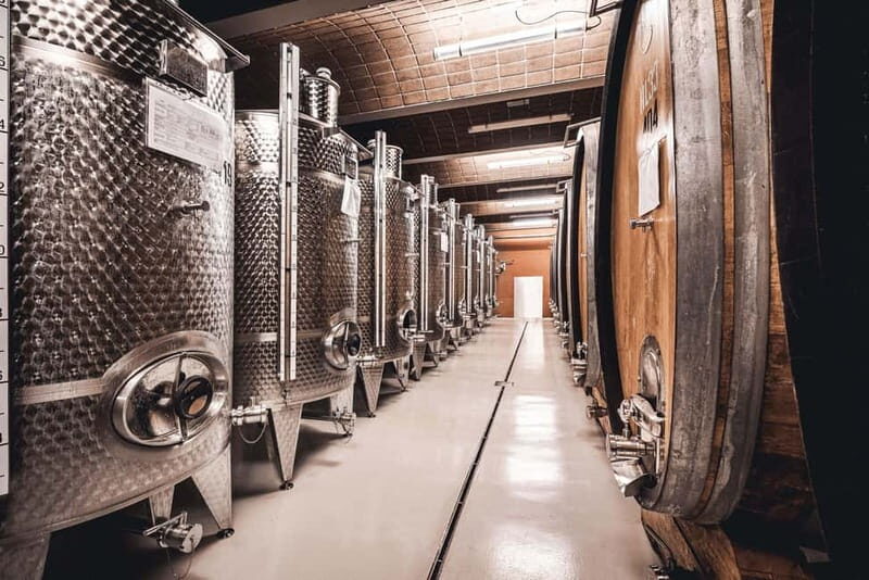 Wine Tasting Tour: Journey to South Tyrols Finest Wines - Key Points