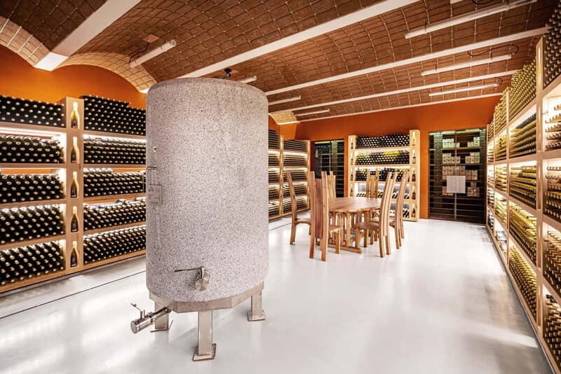 Wine Tasting Tour: Journey to South Tyrols Finest Wines - The Practicalities: Value, Price, and Experience