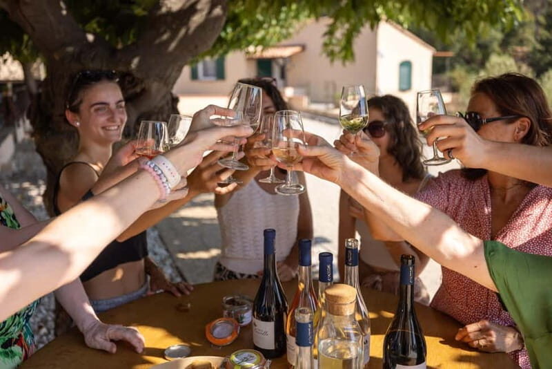 Wine tasting tour - Le Pradet - What to Expect from the Wine Tasting Tour at Le Pradet