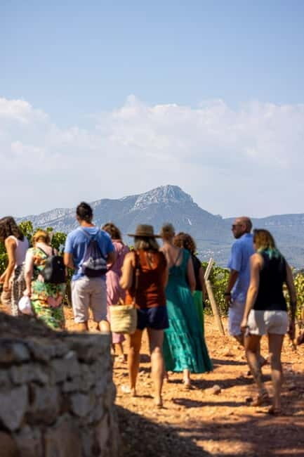 Wine tasting tour - Le Pradet - Authentic Insights from Past Visitors